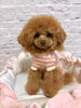 TaniWina Pet Clothes Pure Cotton Homewear Quadruped Clothes