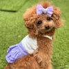 TaniWina Candy Frill Layered Dress