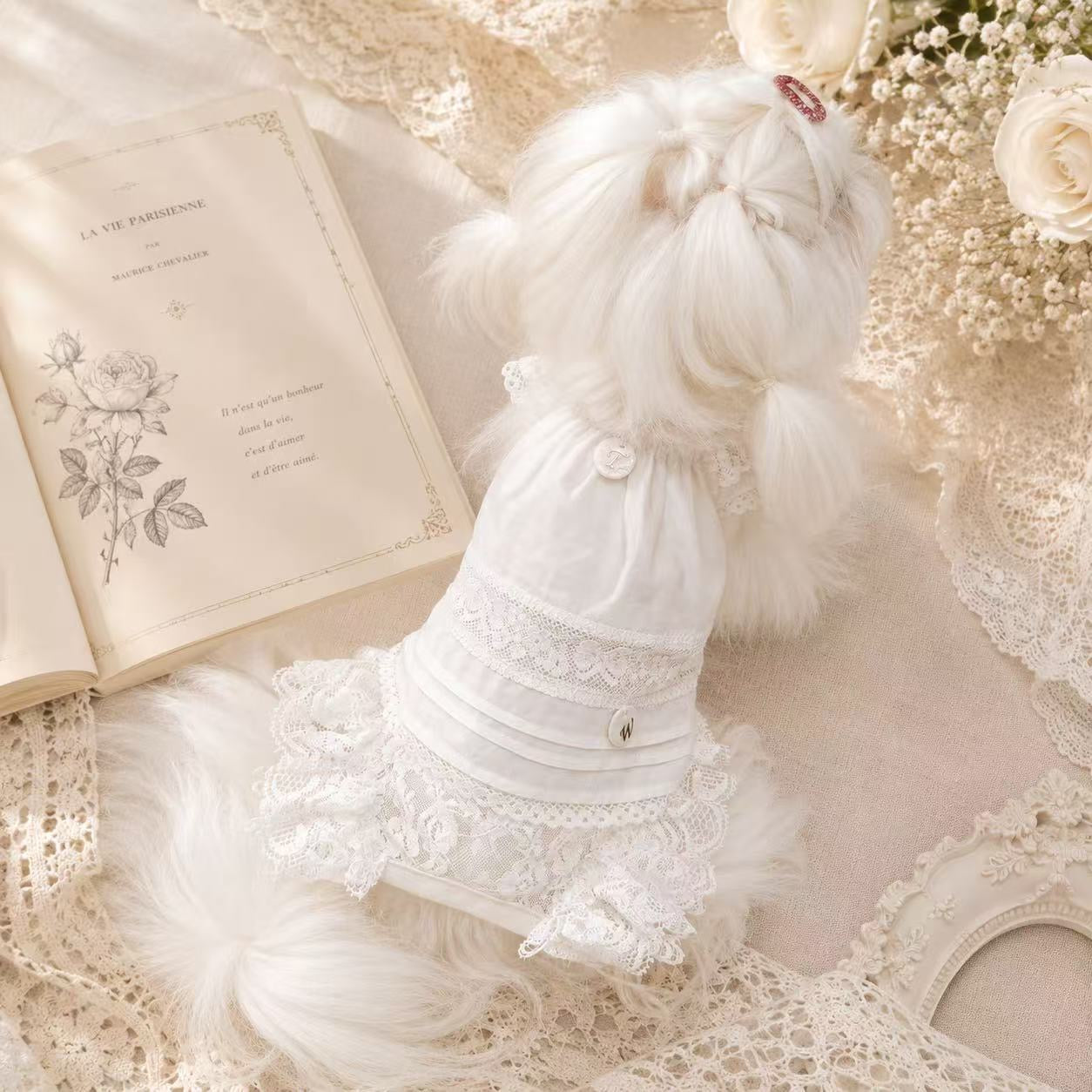 タニウィナ ペット服 – TaniWina Pet Clothes