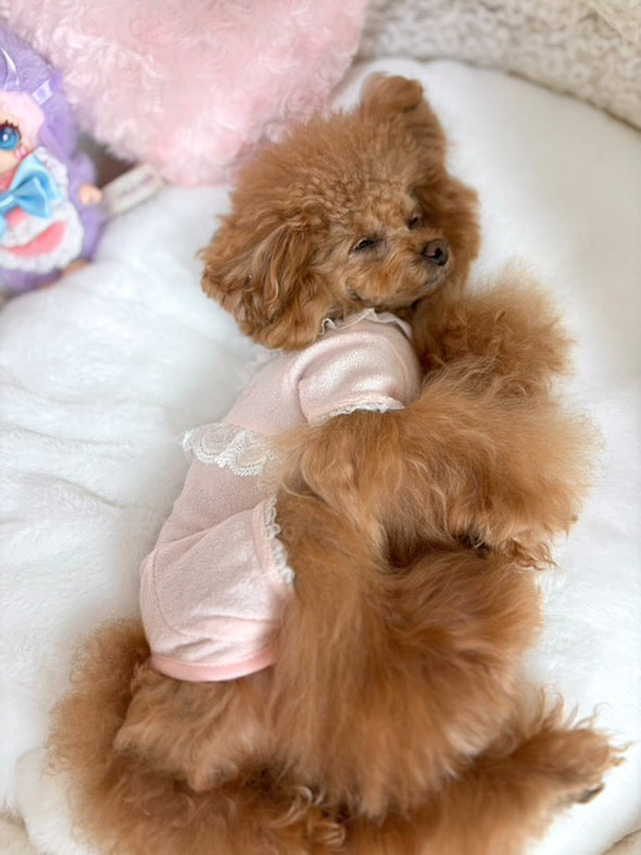 TaniWina Baby Pig Embroidered Lace Romper
