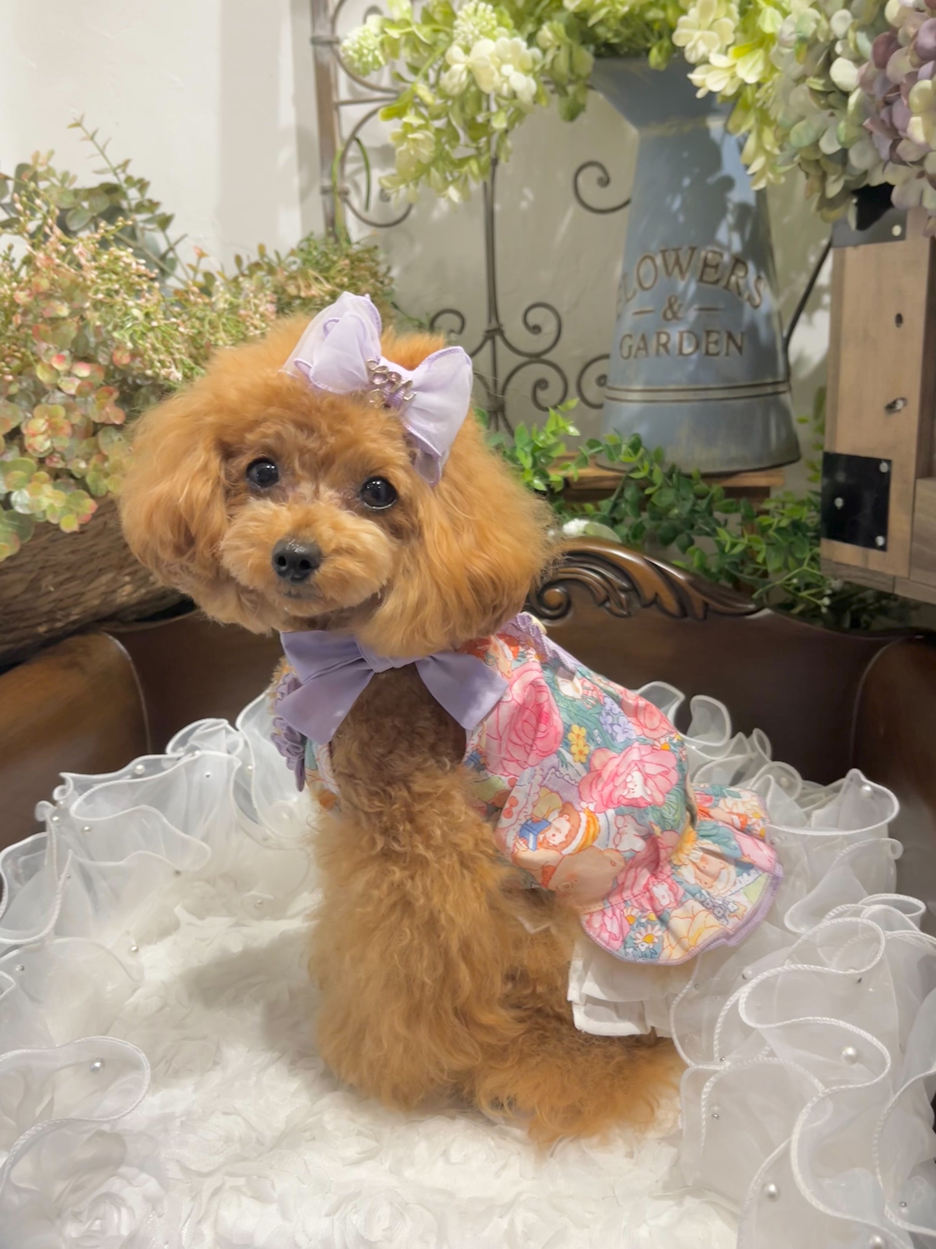 TaniWina Peony Patterned Buttoned Collar Dress for Small Dog