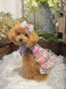 TaniWina Peony Patterned Buttoned Collar Dress for Small Dog