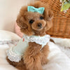 TaniWina Chill Bear Lace Frill Dress