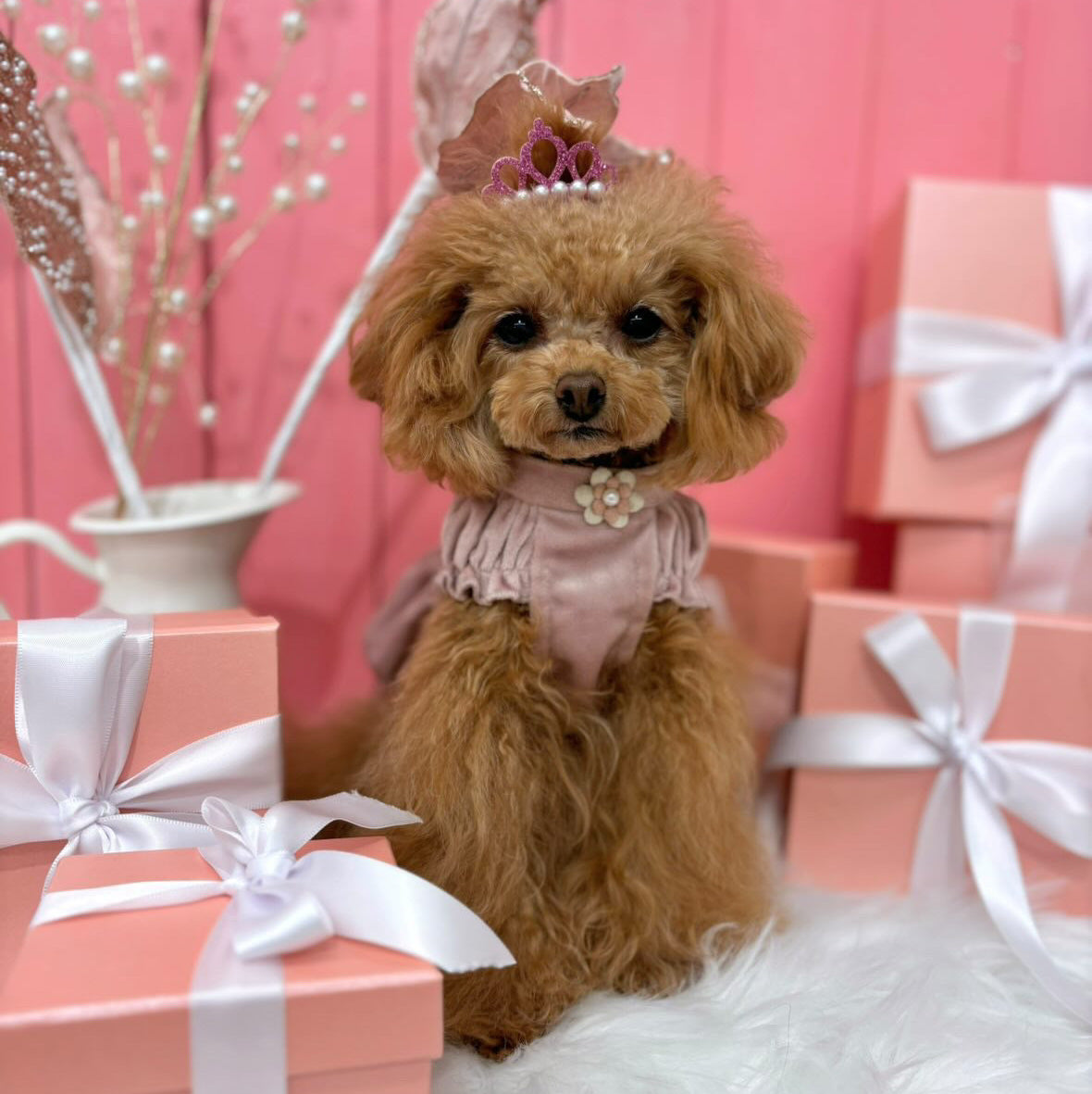 TaniWina クリスマスベルベットチャームドレス