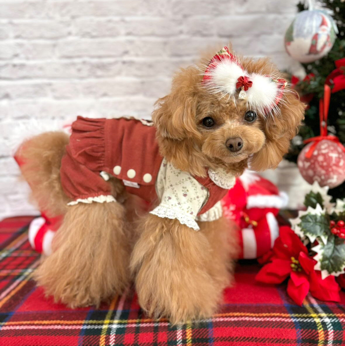 TaniWina Christmas Vintage Lace Corduroy Jumpsuit