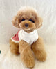 TaniWina Cute Red Dress with Hat Dog Clothes Christmas Set