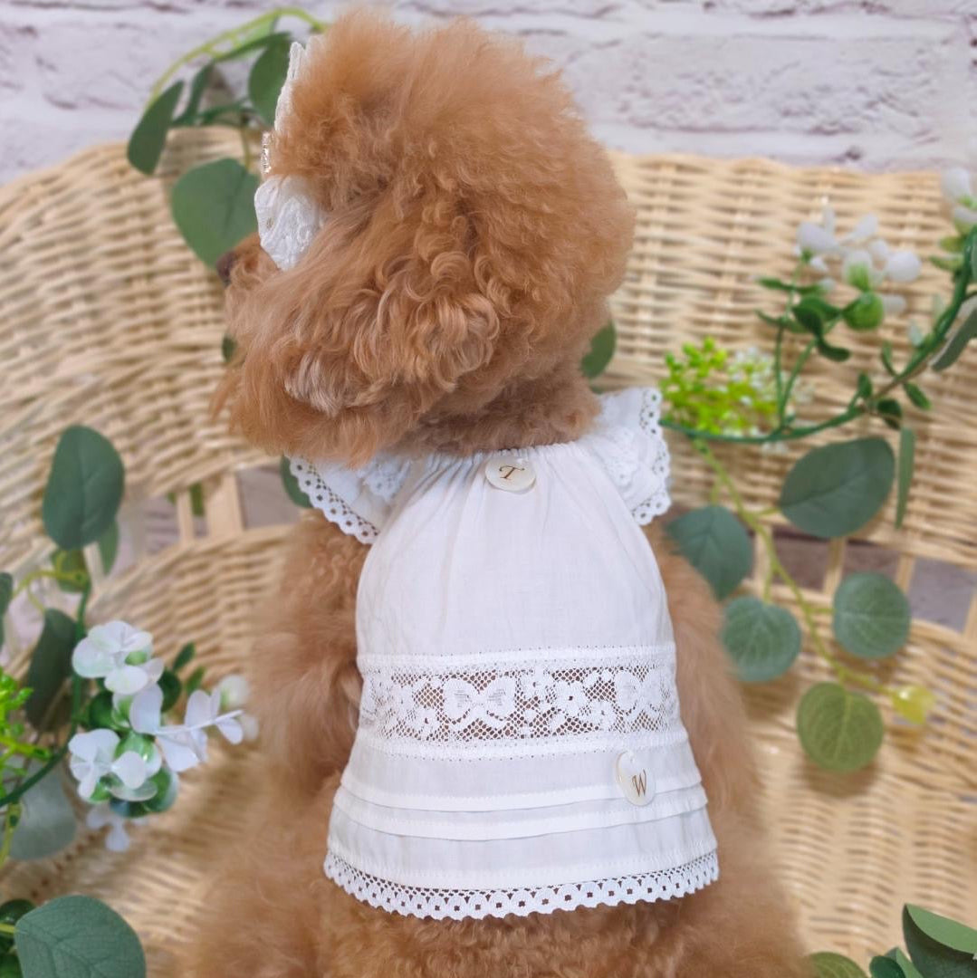 タニウィナ ペット服 – TaniWina Pet Clothes