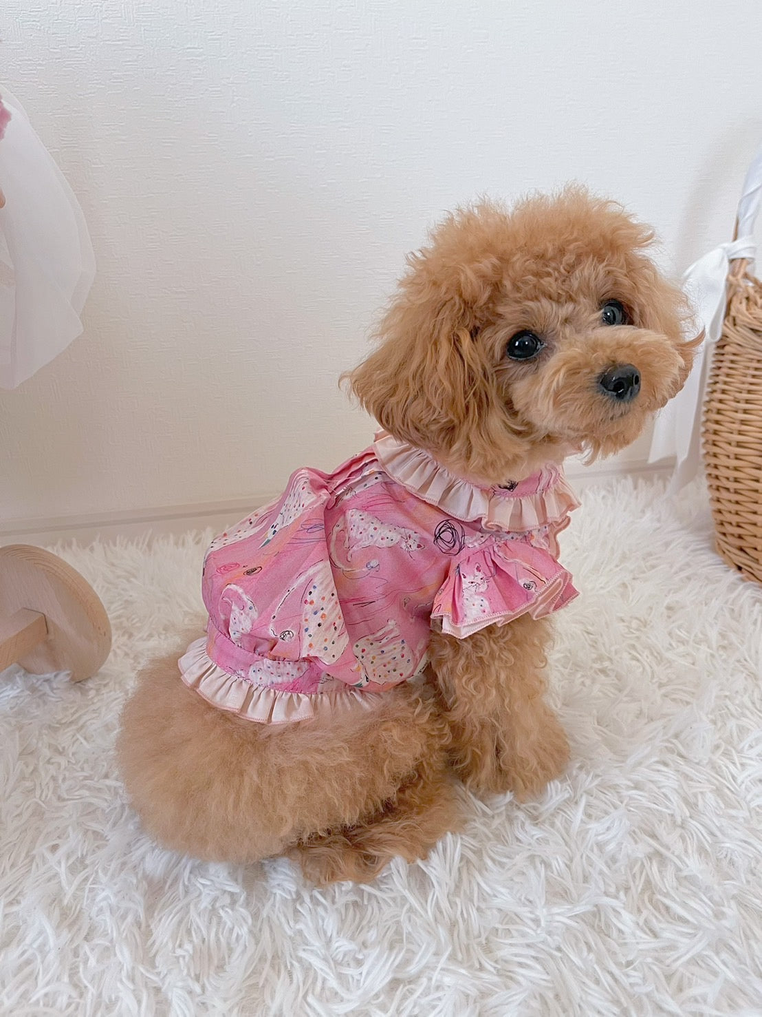 TaniWina Lace Collar Flutter Sleeve Shirt with Elegant Cat Pattern Small Dog