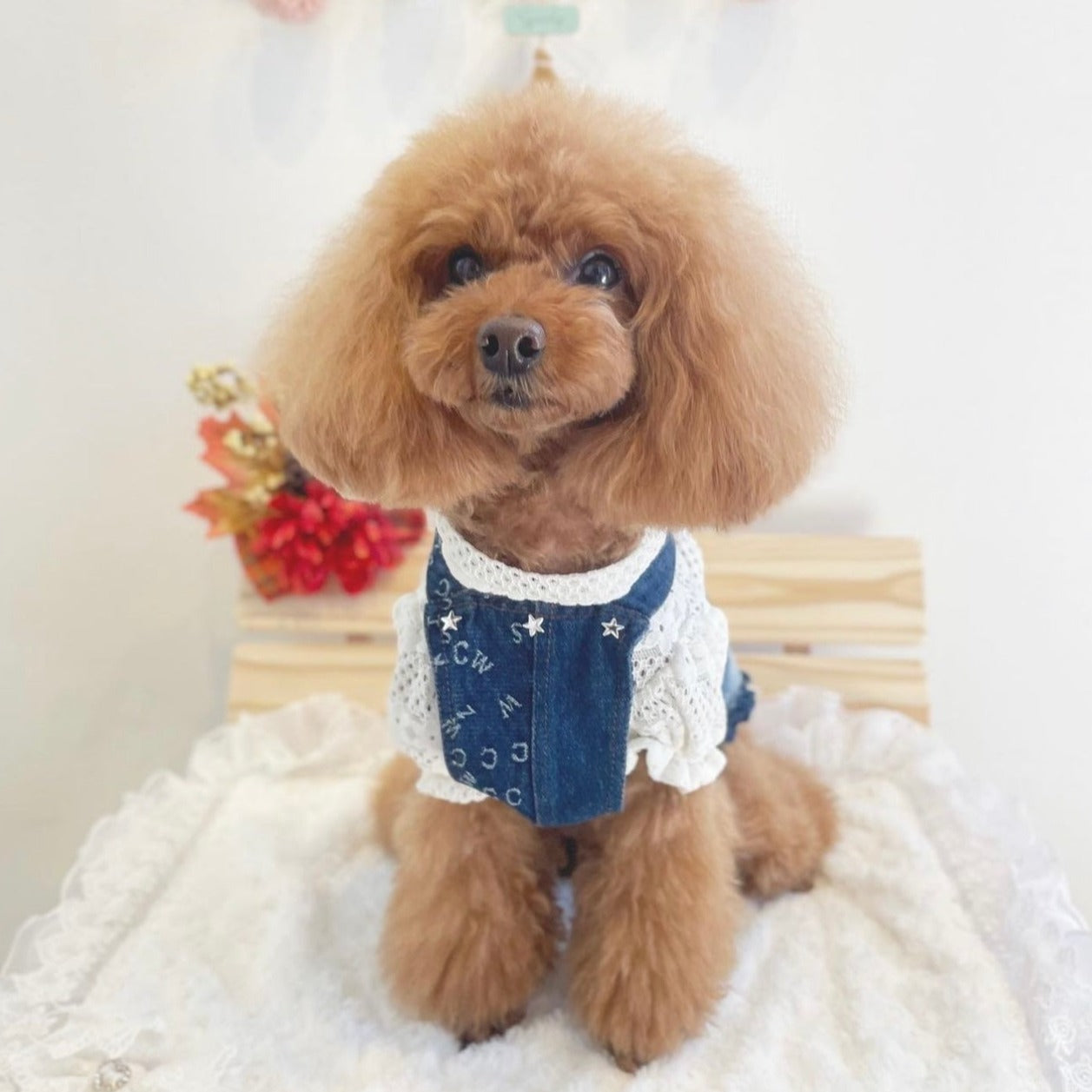 TaniWina Denim Pet Harness Dress: Elevate Your Furry Friend's Style