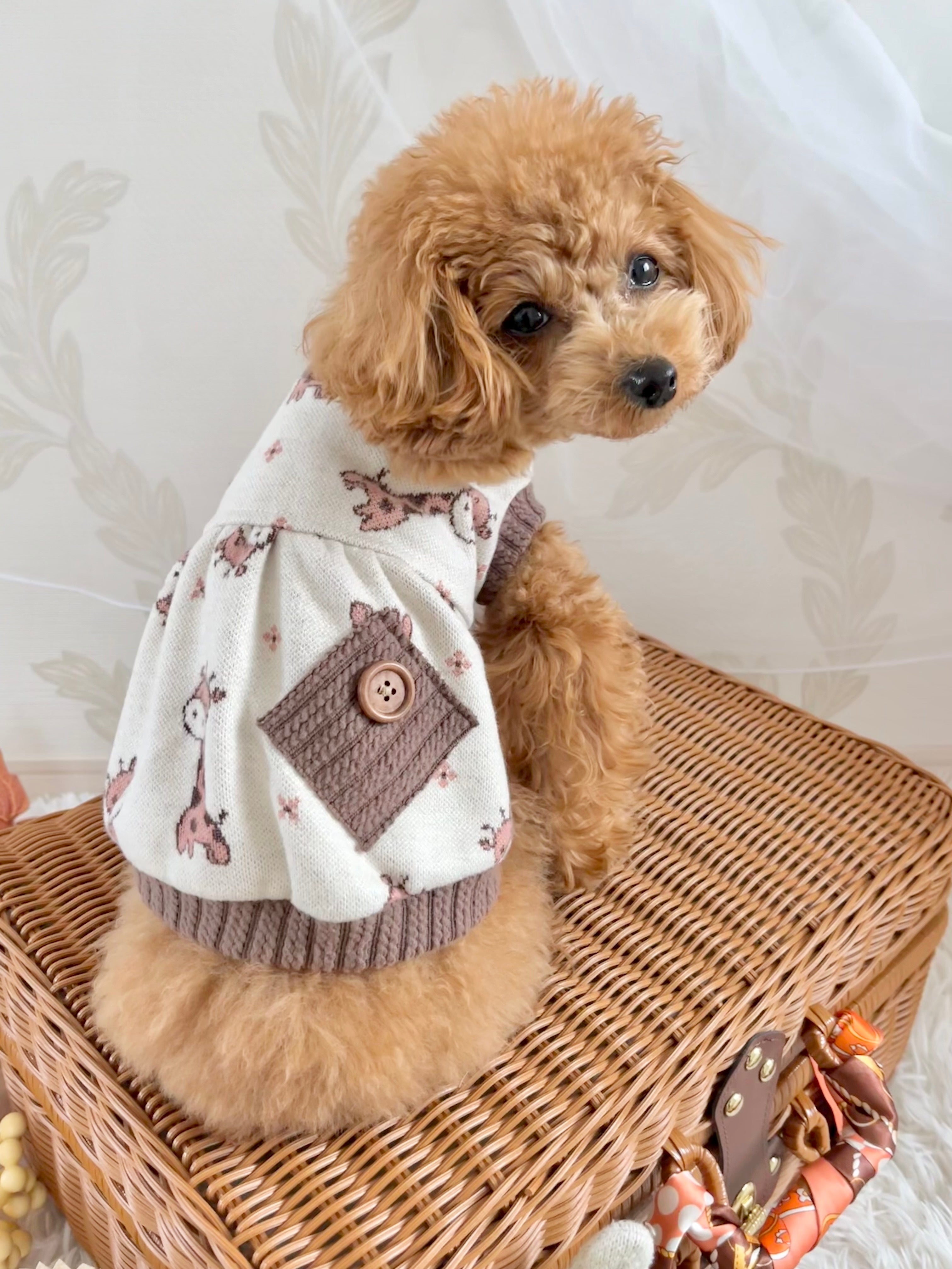 TaniWina Fashionable Pet Sweater for Fall/Winter