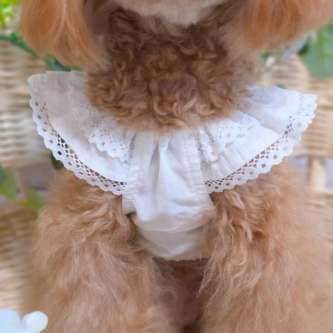 タニウィナ ペット服 – TaniWina Pet Clothes