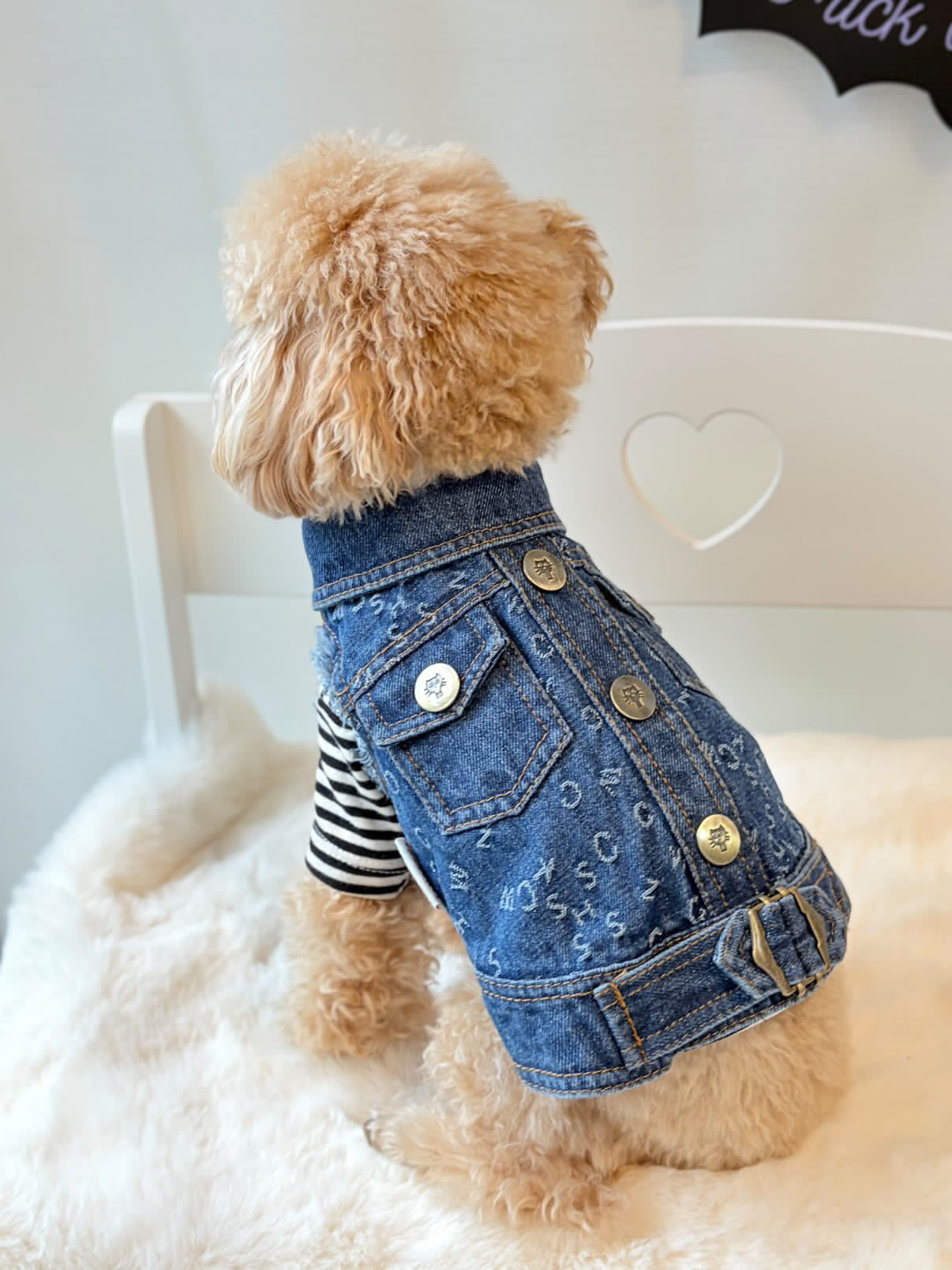 TaniWina Pawshion Petite Denim Vest-Coat: Chic Comfort for Small Paws ...