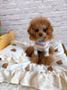 TaniWina Cozy Rainbow Stripe Puppy Turtleneck Shirt