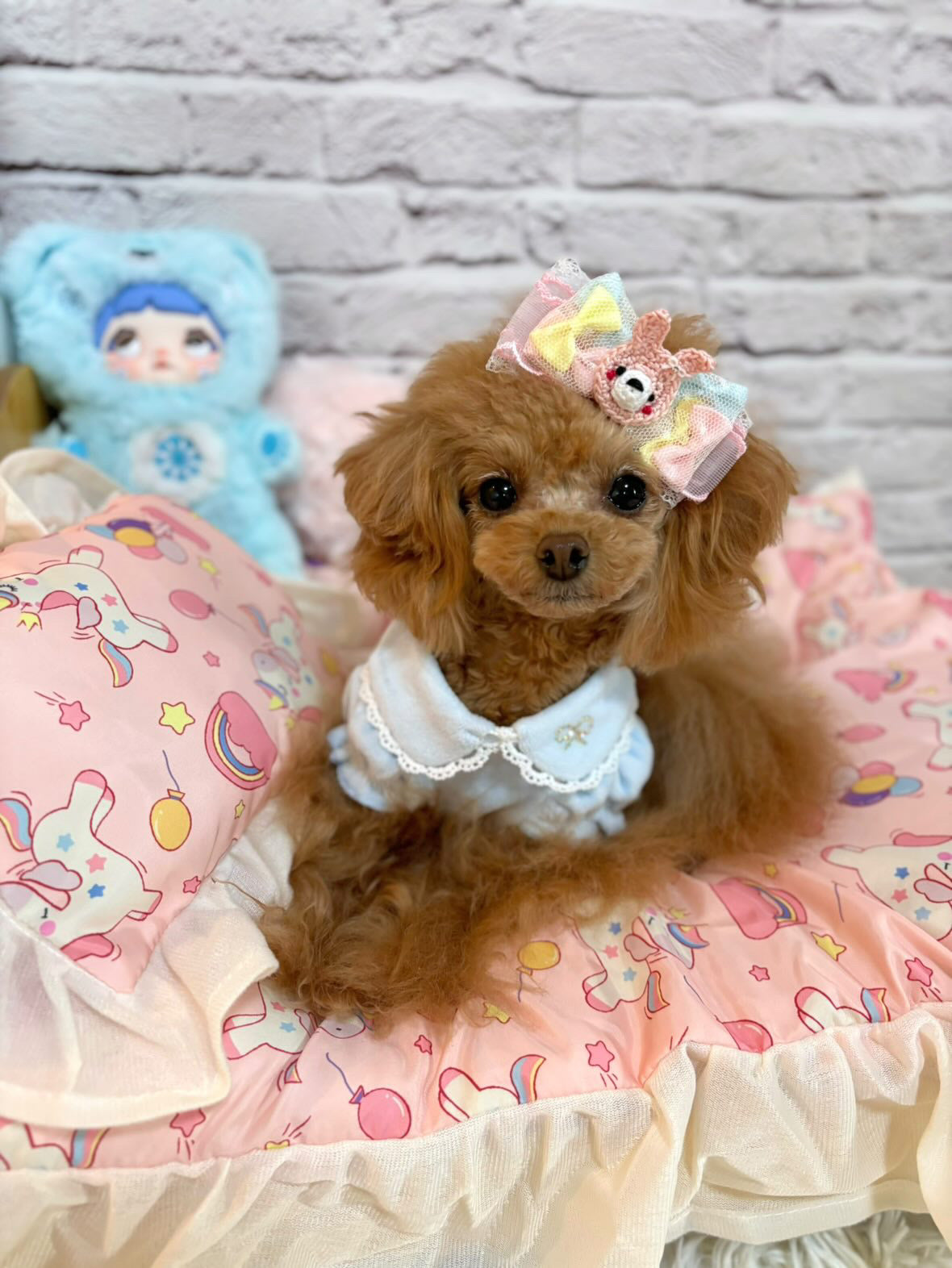 TaniWina Terry Lace Blossom Dress