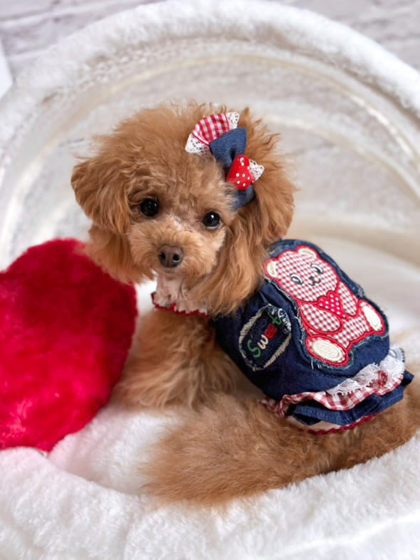 TaniWina Sweet Bear Ruffle Denim Suspender Dress– Autumn Puppy Outfit