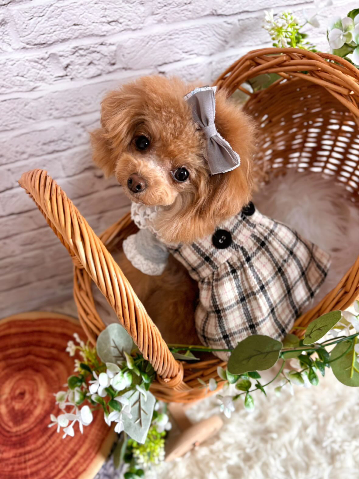 Taniwina エレガントチェック柄ダブルボタンドレス