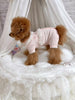 TaniWina Baby Pig Embroidered Lace Romper