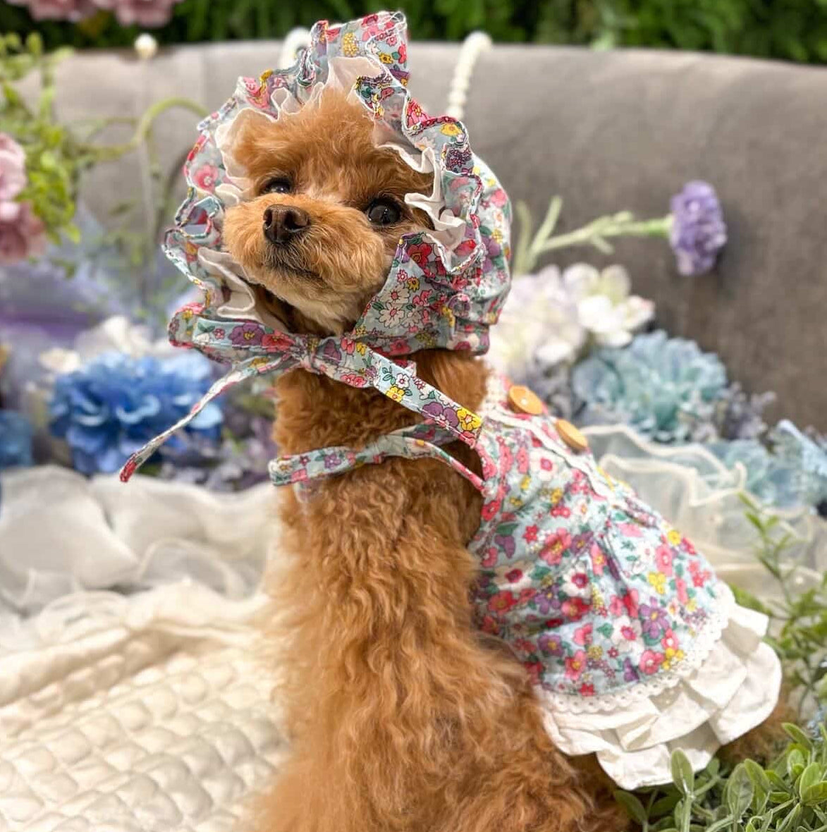 TaniWina Suspender Floral Dress – TaniWina Pet Clothes