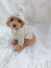 TaniWina Adorable Sweater for Small Dog with Long Sleeves and Hat, Perfect for Winter