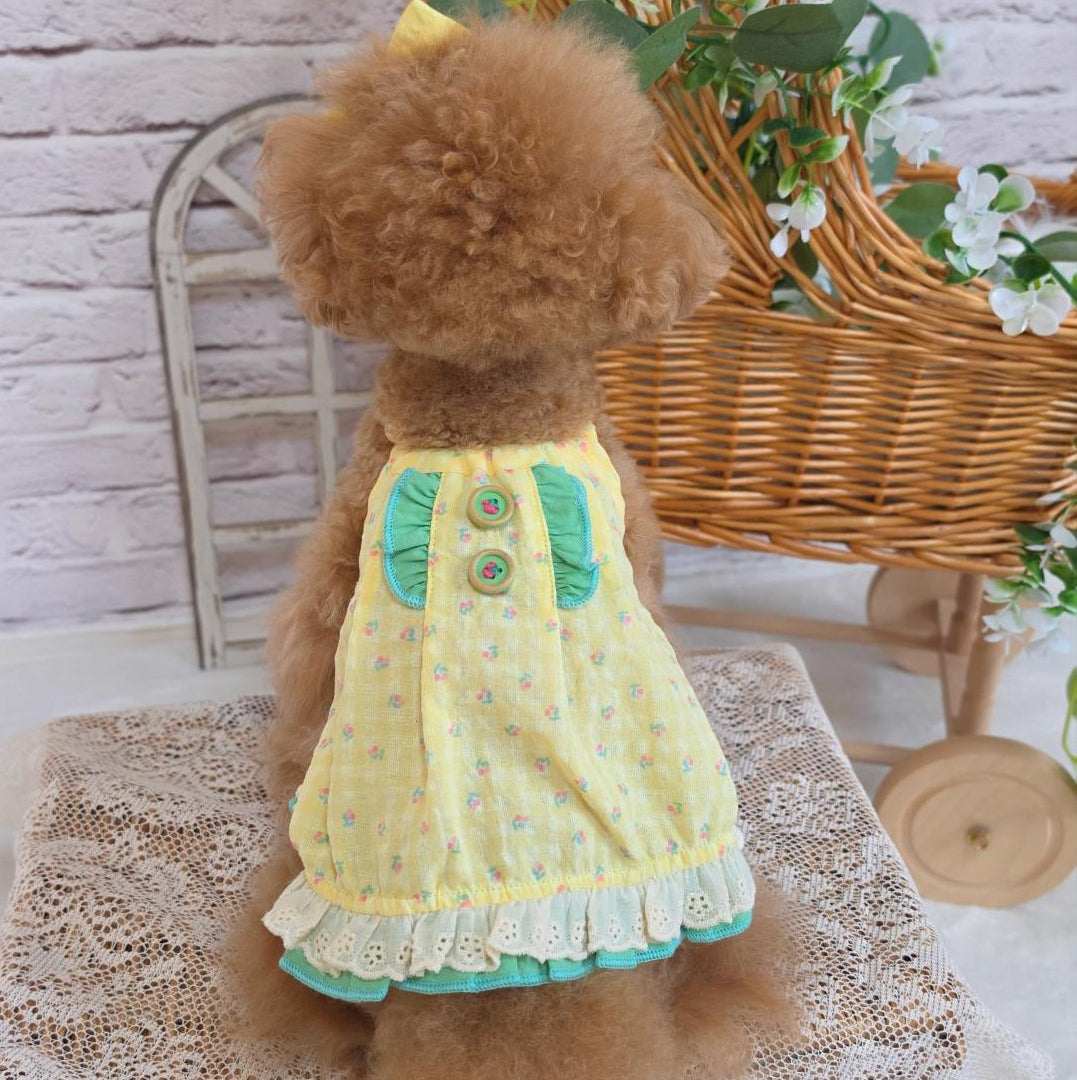 タニウィナ ペット服 – TaniWina Pet Clothes