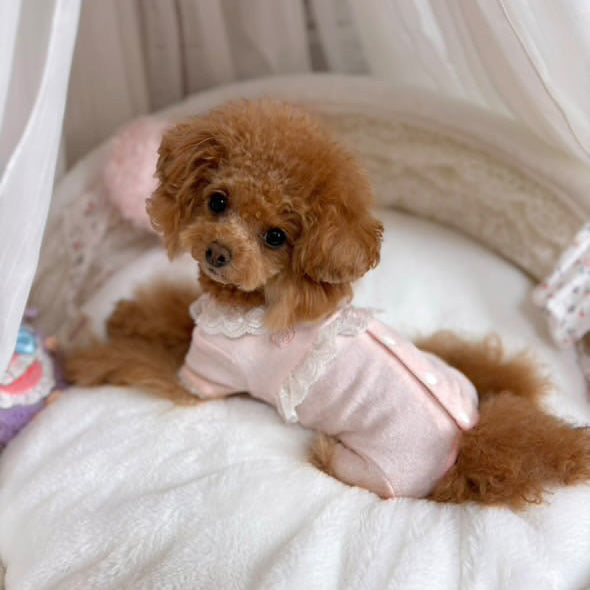 TaniWina Baby Pig Embroidered Lace Romper
