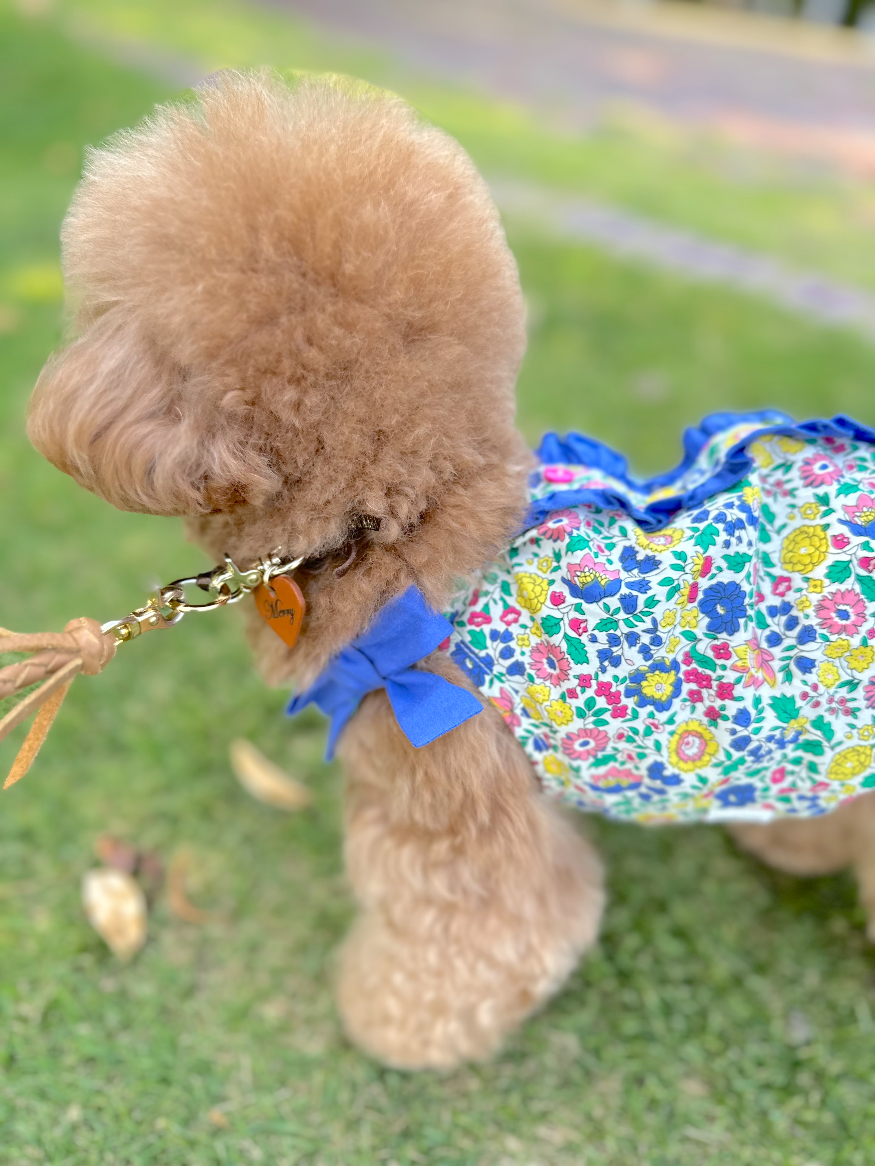 TaniWina Floral Print Buttoned Collar Dress for Small Dog