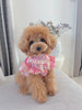 TaniWina Lace Collar Flutter Sleeve Shirt with Elegant Cat Pattern Small Dog