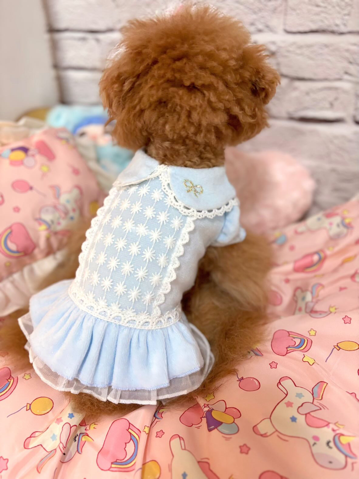 TaniWina Terry Lace Blossom Dress