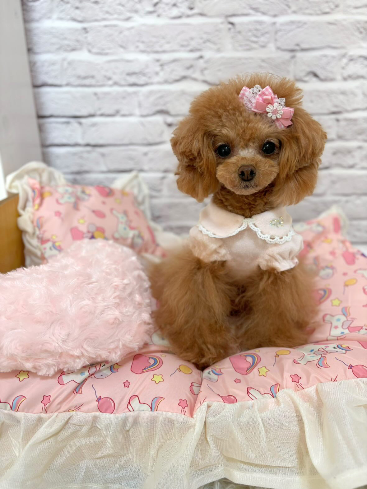 TaniWina Terry Lace Blossom Dress