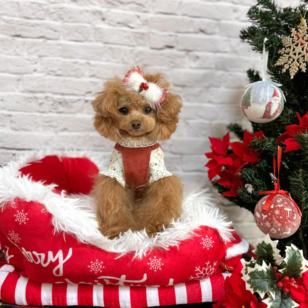 TaniWina Christmas Vintage Lace Corduroy Jumpsuit