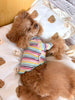TaniWina Cozy Rainbow Stripe Puppy Turtleneck Shirt