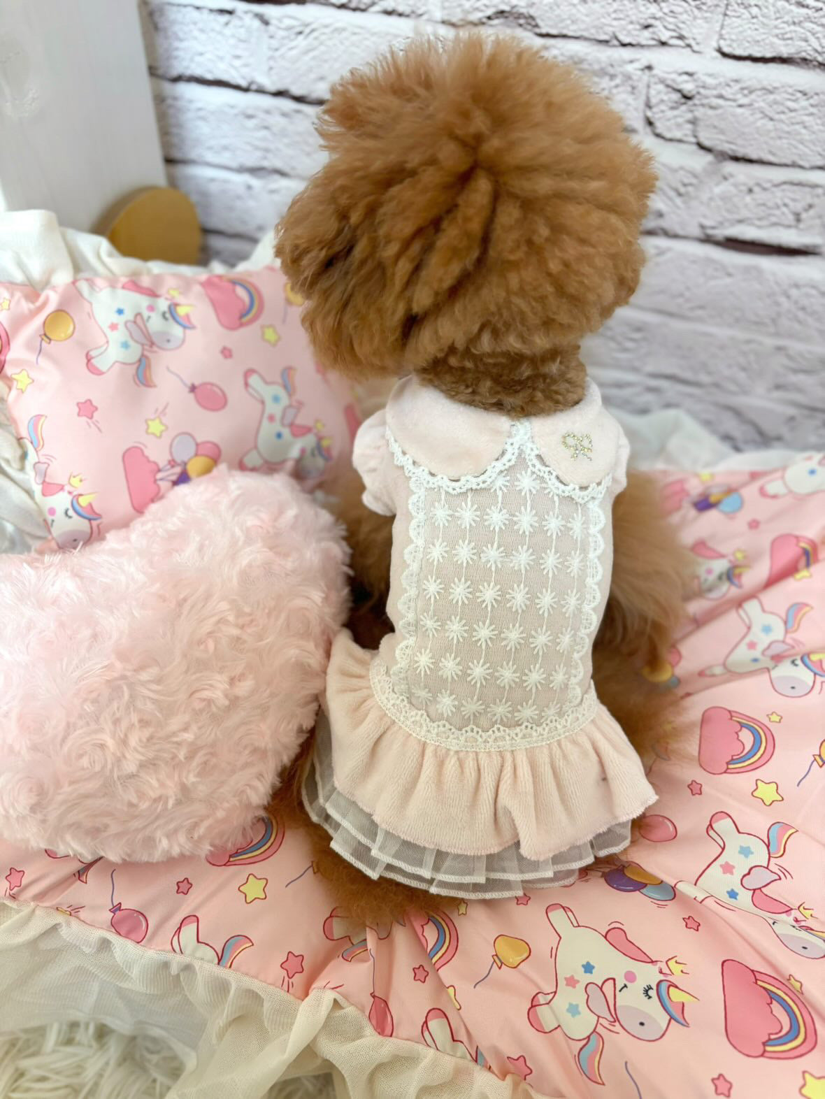 TaniWina Terry Lace Blossom Dress