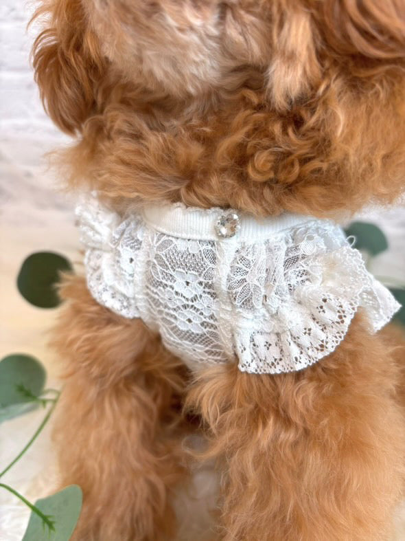 TaniWina Lace Blossom Puff Sleeve Heart Swarovski Crystal Top