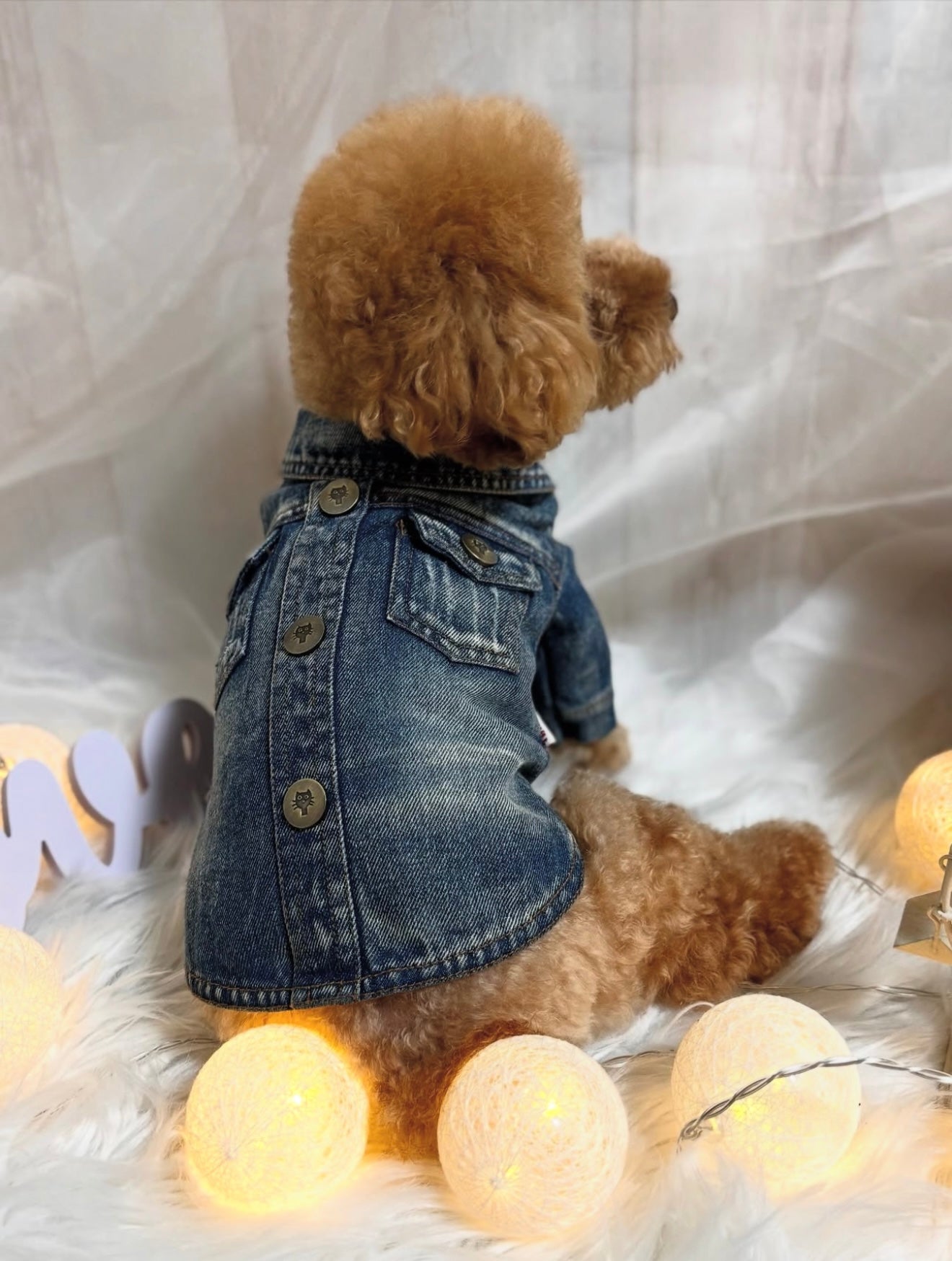 TaniWina Classic Denim Dog Jacket – Vintage Style for Small Dogs