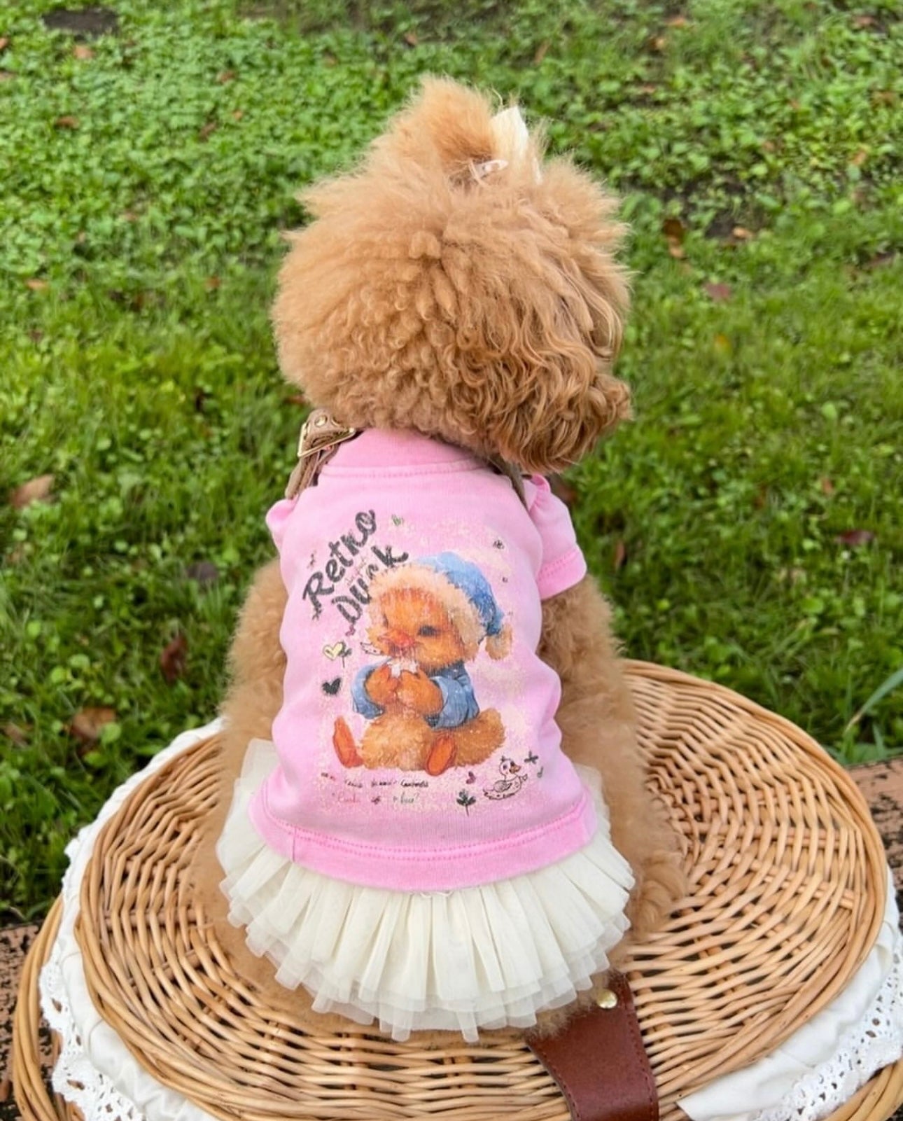 TaniWina Matching Sibling Graphic T-Shirts – Princess & Straight Sleeve Designs for Small Dog