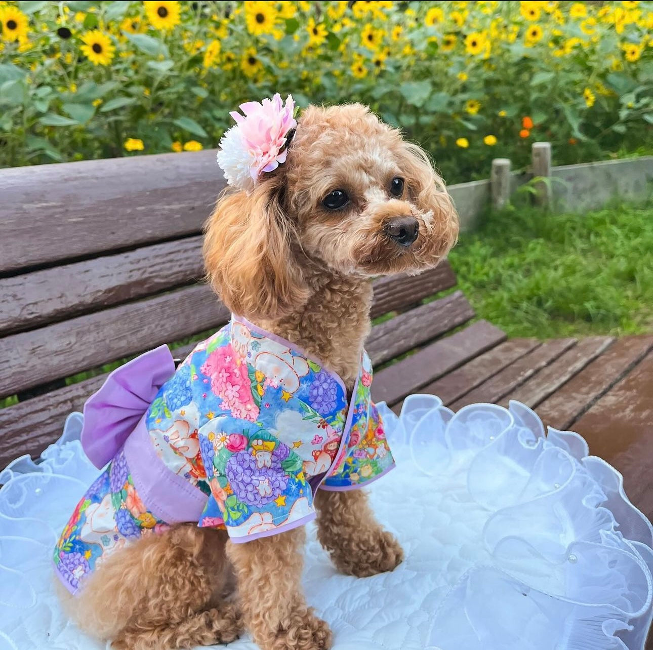 TaniWina Hydrangea Pattern Yukata for Small Dogs