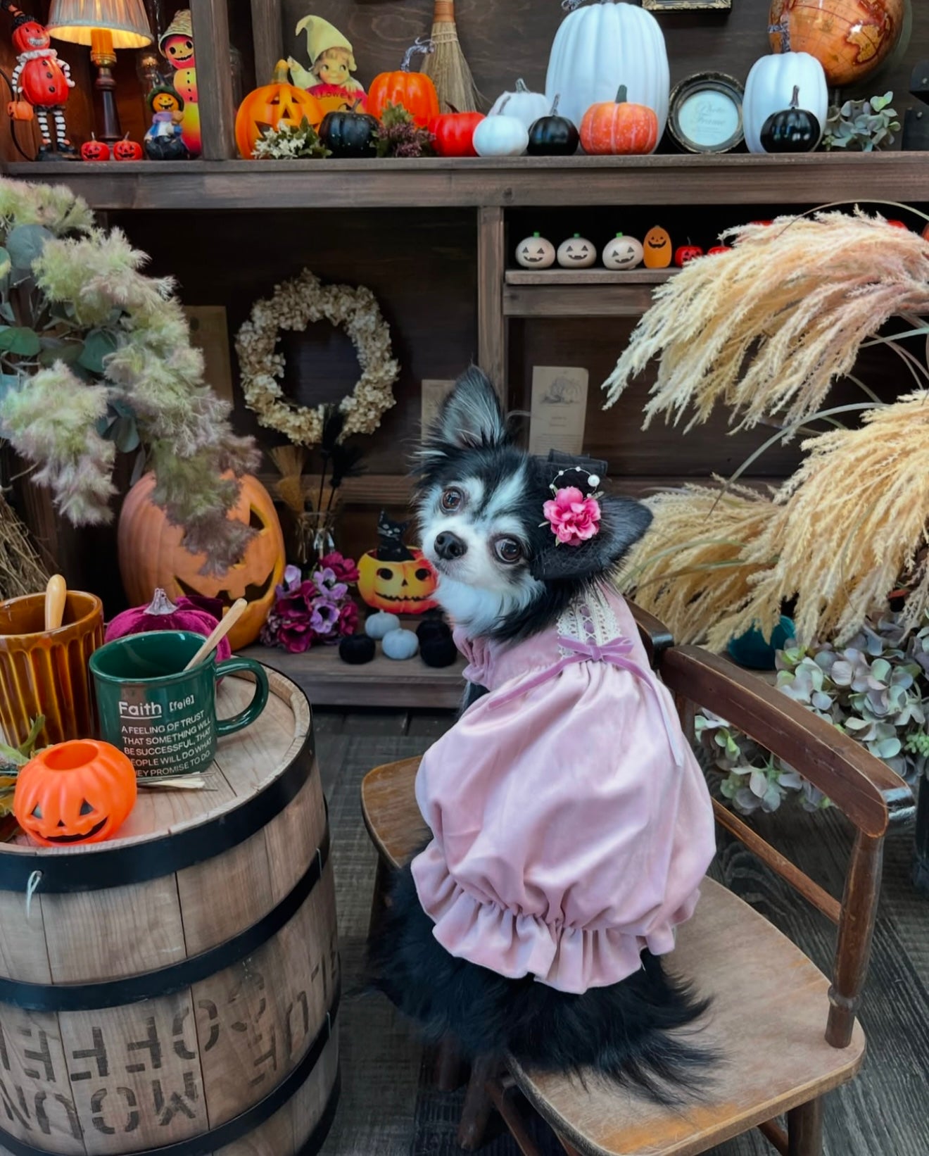 Velvet Valentine Pumpkin Dress - Pink Edition