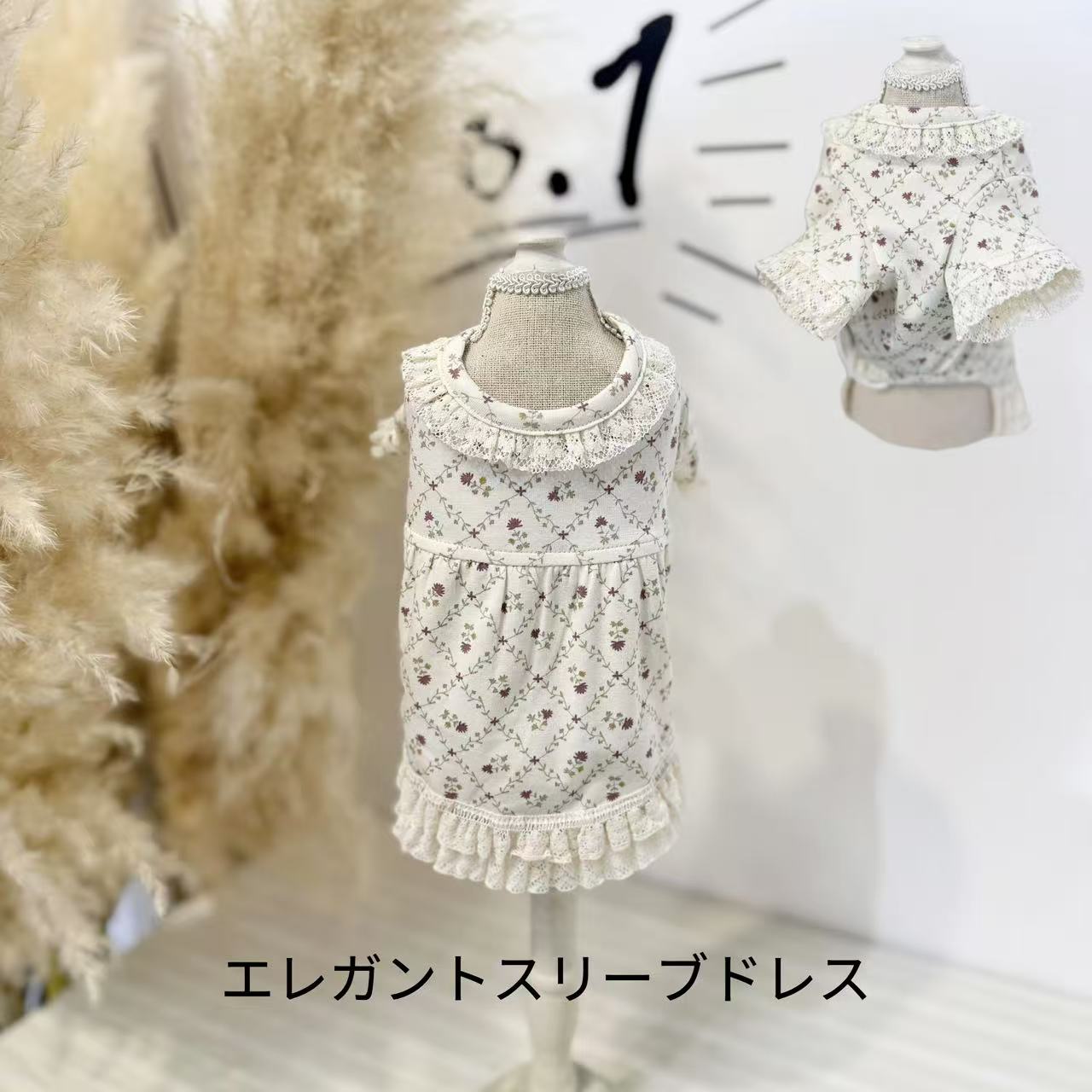 Taniwina Ecocosy Laceワードローブ