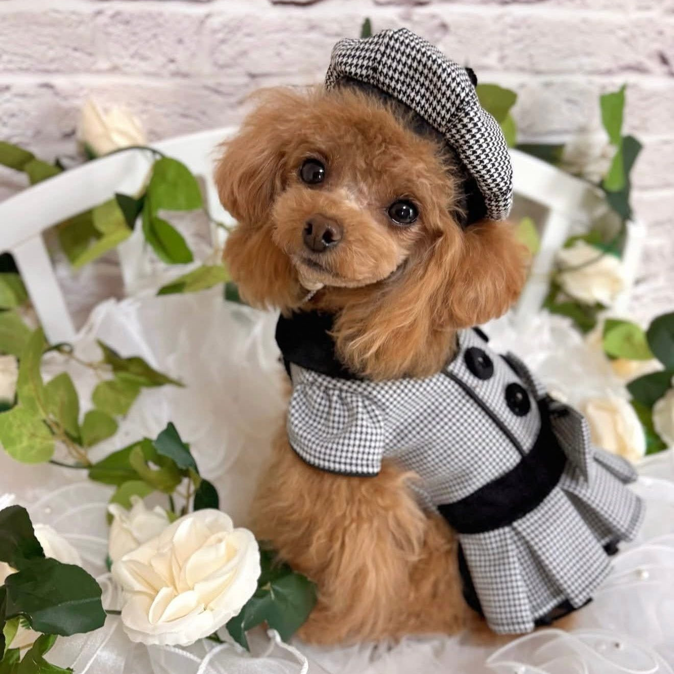 TaniWina 英国風 千鳥格子 ドレス＆スーツセット｜犬用ペア服・秋冬