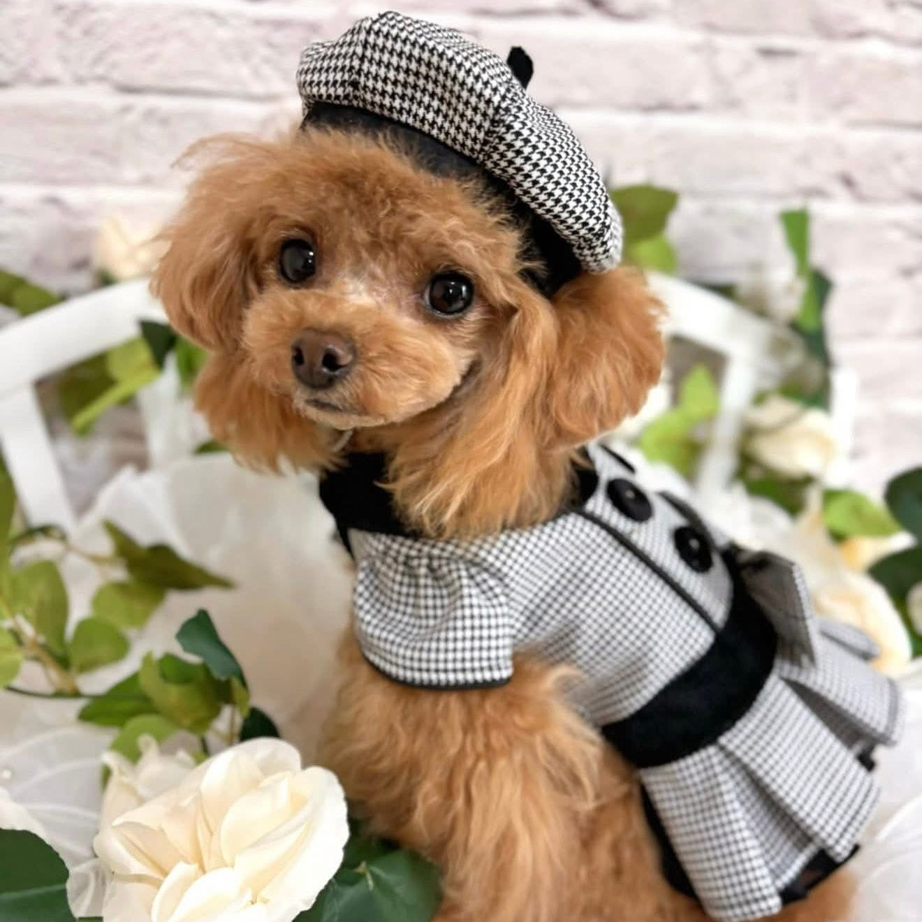 TaniWina 英国風 千鳥格子 ドレス＆スーツセット｜犬用ペア服・秋冬