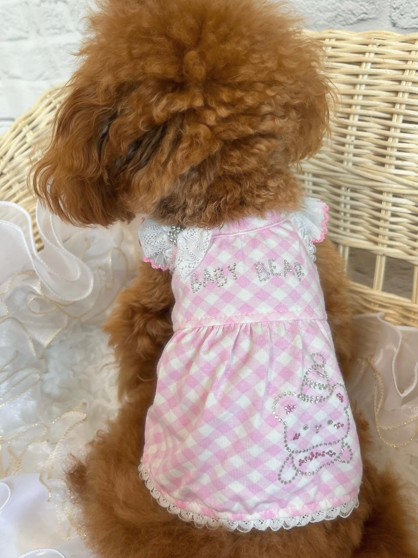 TaniWina Pink Lace Collar Plaid Dress with Rhinestone Embellishments for Small Dog