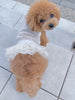 TaniWina Pet Ballet Tutu Skirt: Graceful Elegance for Small Dogs