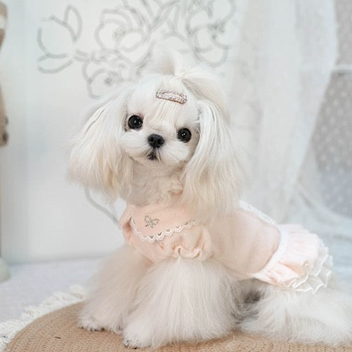 TaniWina Cozy Knit Valentine's Dress Set for Small Dogs with Inner Comfort