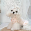 TaniWina Cozy Knit Valentine's Dress Set for Small Dogs with Inner Comfort