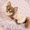 TaniWina Chill Bear Lace Frill Dress