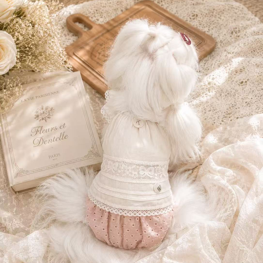 タニウィナ ペット服 – TaniWina Pet Clothes