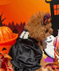 TaniWina Enchanted Pumpkin Velvet Halloween Dress