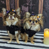 TaniWina Enchanted Pumpkin Velvet Halloween Dress