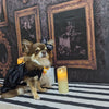 TaniWina Enchanted Pumpkin Velvet Halloween Dress