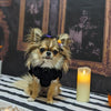 TaniWina Enchanted Pumpkin Velvet Halloween Dress